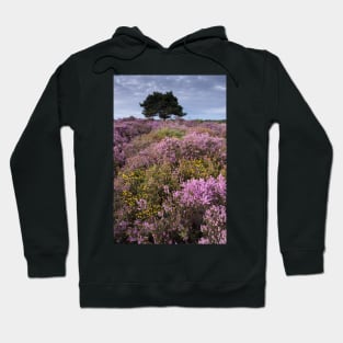 Dunwich evening Hoodie